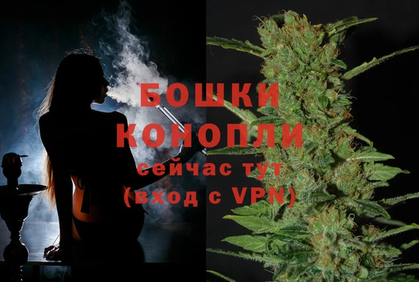 2c-b Богданович